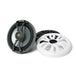 Ecoxgear Marine 8 Speaker