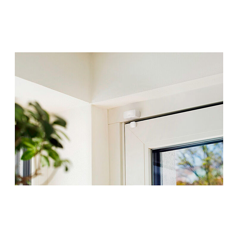 Eve Door & Window