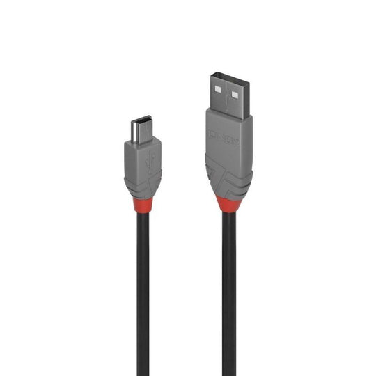 Lindy 1m Usb2 A-Mini-B Al
