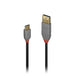 Lindy 0.5m Usb2 Type A To C