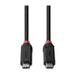 Lindy 2m Usb4 240W Type C Cable Black Line