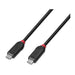 Lindy 2m Usb4 240W Type C Cable Black Line