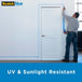 Scotchblue Painter Tape 209036