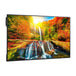 Sharp Me-Series 43'' Display