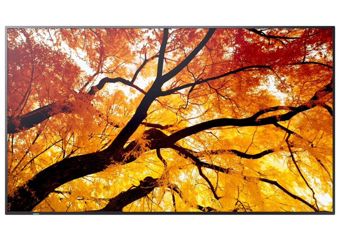 Sharp M-Series 55 inch Display
